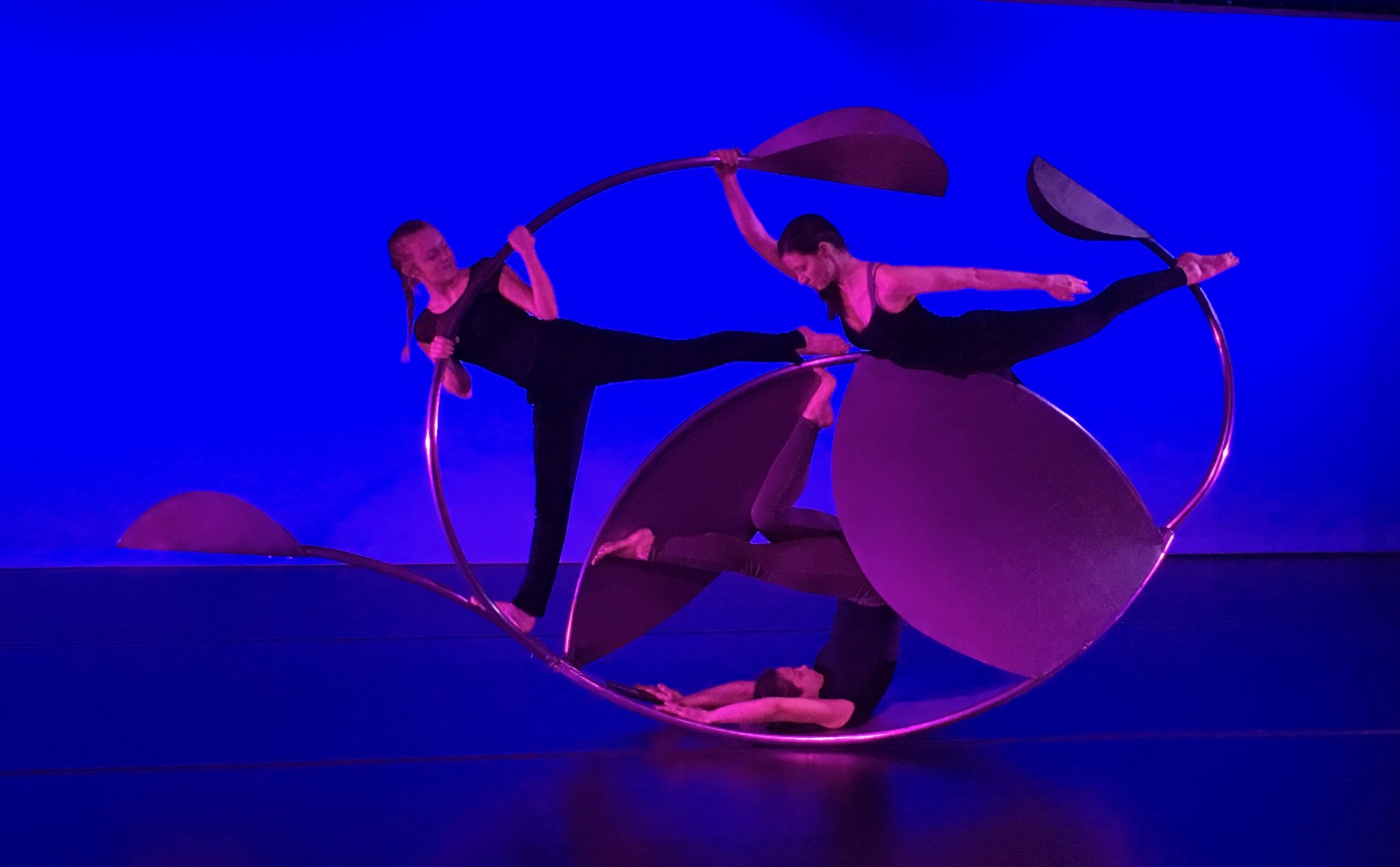 Resonance Richard Swanson